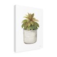 thumbnail image 2 of Trademark Fine Art 'Mixed Greens Succulent III' Canvas Art by Lisa Audit, 2 of 3