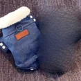 thumbnail image 3 of Abrigo de lana de cordero vaquero para mascotas, abrigo de parka para perros pequeños con cuello grueso y grueso, ropa para mascotas, abrigo para perros, accesorios para perros, 3 of 5