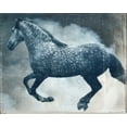 thumbnail image 2 of Friedman, Susan 24x20 White Modern Wood Framed Museum Art Print Titled - Horse Exposures III, 2 of 4