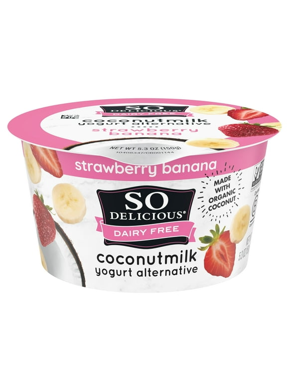 Non Dairy Yogurt in Yogurt