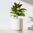 thumbnail image 6 of 10/8.5/7 Inch Large Planter for Outdoor Indoor Plants, 3 Pack Large Outdoor Planters Plastic Plant Pots with Drainage Hole for Home Garden., 6 of 10
