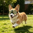 thumbnail image 2 of Goggles Eye Protecting Sunglass Windproof Personality Puppies Goggles For Small Media Flexible Strap Glasses For Small Dogs Accessories Belt Bags Dog Holder Dog Kennel Accessories Dog Wheelchair, 2 of 6