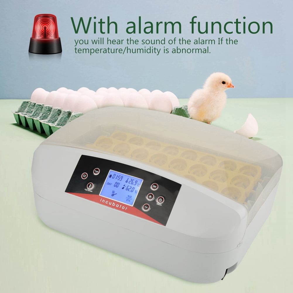 Mgaxyff Automatic Incubator , Egg Hatcher,32 Eggs Incubator Hatcher