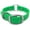 Light Green, variant on Regal Dog Products Waterproof Collar Heavy Duty Center Ring with D ring