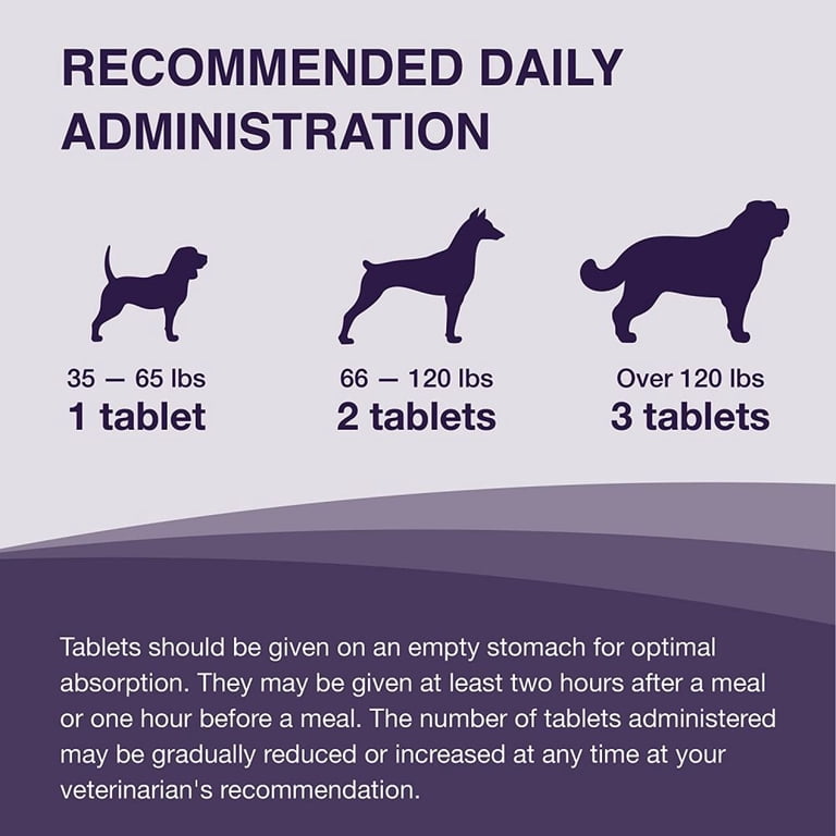Nutramax Denamarin Tablets 30ct for Large Dogs Liver Support