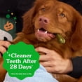 thumbnail image 6 of Greenies Pumpkin Spice Flavor Adult Natural Dental Dog Treats Regular Size, 12 oz Pack (12 Count), 6 of 13