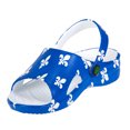 thumbnail image 4 of Toddlers' Slides - Fleur De Lis, 4 of 8