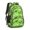Green Dinosaurs Skeletons, variant on Dinosaur and Skeleton Navy Blue Pattern Cute School Backpack Bag with Padded Back and Adjustable Shoulder Straps 16.9 X 12.6 X 5.9 Inches