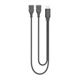 thumbnail image 2 of USB 2.0 2 Doble Conector USB Y Cable Del Cable De Alimentación Del Concentrador Divisor perfke  Cable divisor USB, 2 of 9