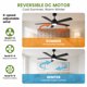 thumbnail image 5 of Yeshouse ventilador de techo de 52" con luz LED y control remoto, 3 temperaturas de color, motor DC reversible y silencioso, bajo consumo, acabado negro mate, ideal para dormitorio, sala o comedor, 5 of 7