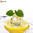 thumbnail image 4 of Spencer 10Pcs Simulation Lemon Slice Plastic Fake Artificial Fruit Lifelike Model for Home Party Decoration "Yellow", 4 of 8
