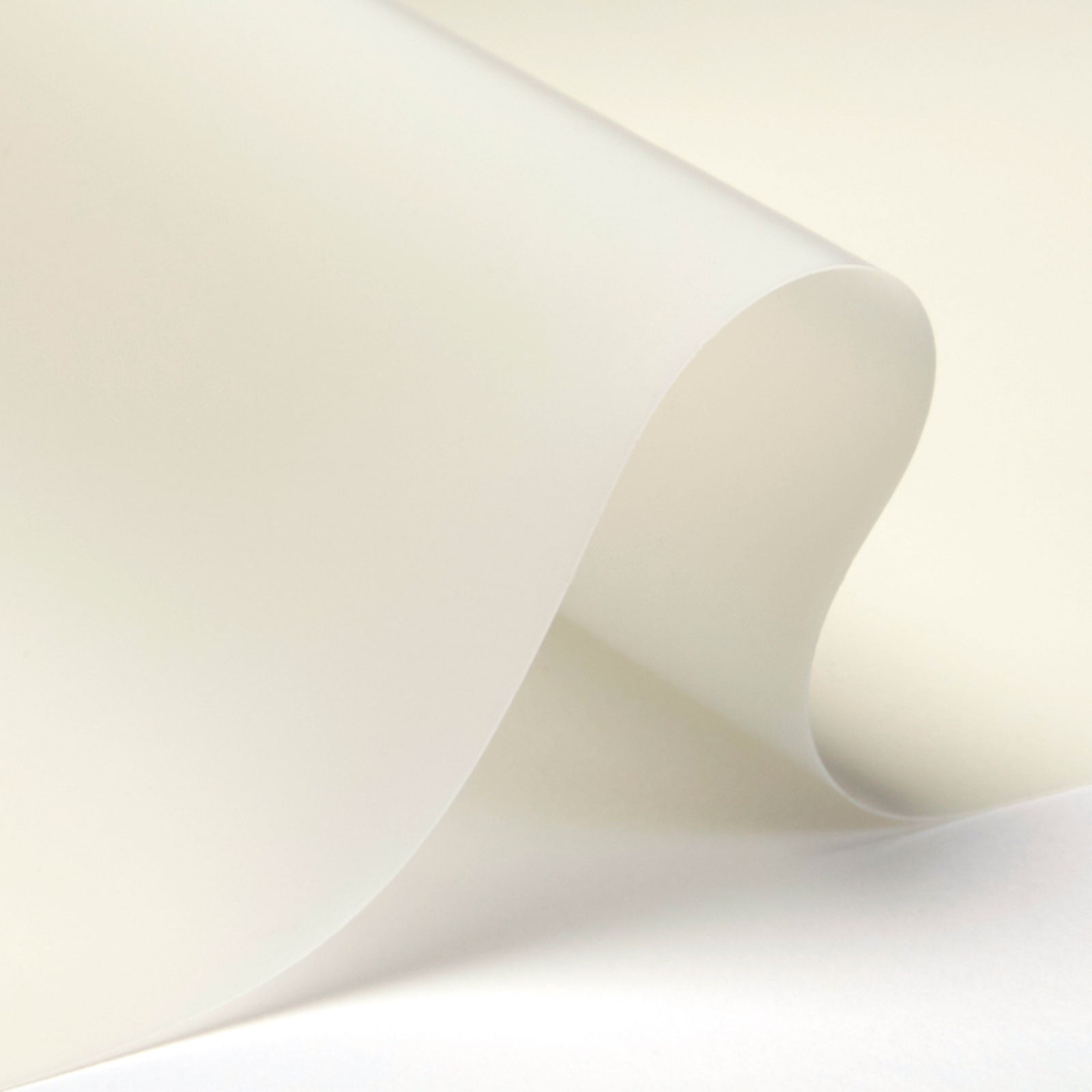 Carl's (4 x 5 Ft) White Rear Projection Film (Window Projection