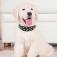 thumbnail image 5 of Anti Bite Dog Collar, Pet Training Collar, Neck Protection, Adjustable for Walking Hiking Training, 5 of 5