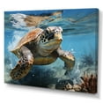 thumbnail image 2 of Designart "Coastal Scene In Watercolor" Animals Turtle Wall Art Prints, 2 of 7
