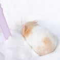 thumbnail image 4 of Arena de baño para hámster DR.DUDU, 1,27 kg, para hámster, chinchillas y jerbo, 4 of 7