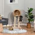 thumbnail image 6 of PawHut Cat Tree with Sisal Scratching Post Condo and Hanging Rope 44.5" H, Beige, 6 of 9