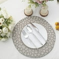 thumbnail image 5 of Balsa Circle 6 Matte Gray Irregular Round 13 in Plastic Charger Plates Giraffe Pattern Rim Party Events Decorations, 5 of 8