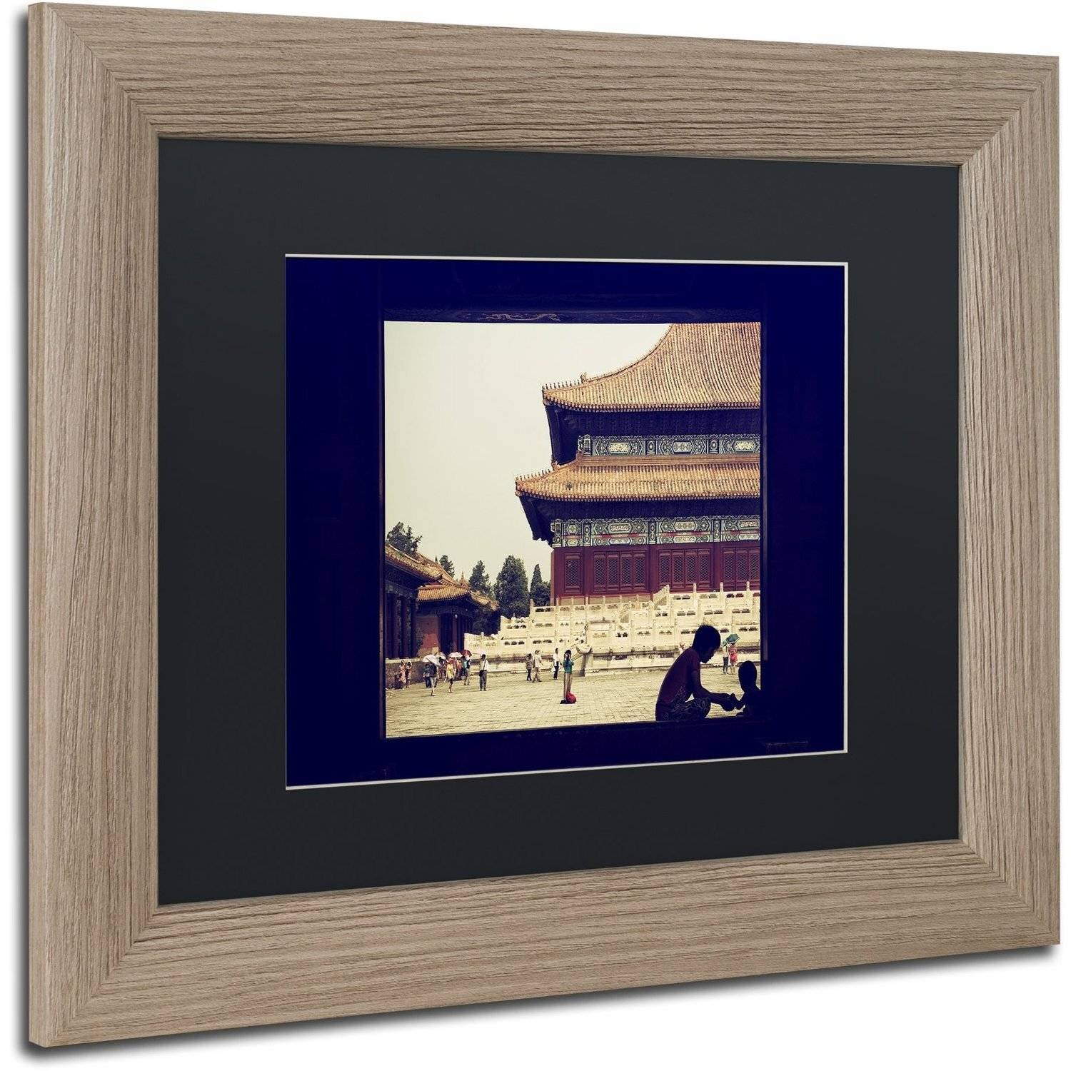 Trademark Fine Art "Moment of Life" Canvas Art by Philippe Hugonnard, Black Matte, Birch Frame