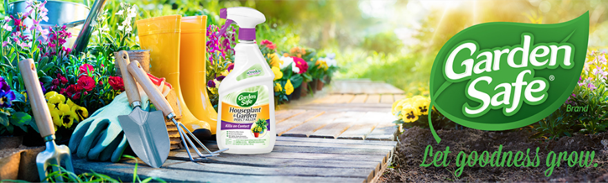 indoor plants liquid fertilizer Indoor Plant Food | All-purpose House Plant Fertilizer