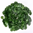 thumbnail image 4 of Planta de hojas de 80 hojas, tira pequeña, simulación de hojas de ratán, hojas verdes, enredadera de simulación, enredadera decorativa, hojas de enredadera, 4 of 4