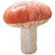 thumbnail image 1 of Peluche de hongo, juguete de peluche, cojín de hongo, regalo para dormitorio, sofá, decoración, 1 of 7