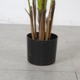 thumbnail image 4 of Artificial californian palm tree in pot - Fanny, 4 of 5