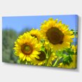 thumbnail image 2 of Beautiful Sunflowers View - Floral Canvas Art Print, 2 of 4
