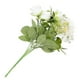 thumbnail image 3 of 0, 3 of 5