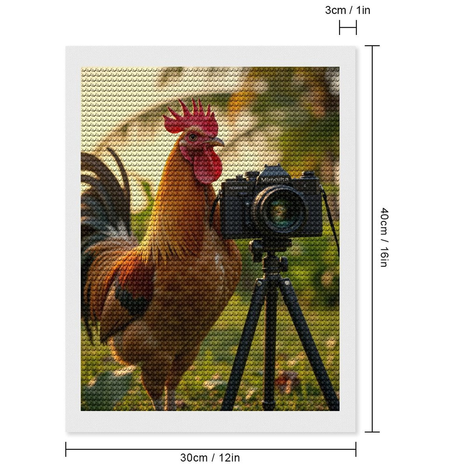 Diamond Art Kits for Adults - Rooster Photographer Tropical Sunset 5d Diamond Painting for Adults, Diamond Art for Adults Beginners, Frameless Diamond Painting Kits for Adults for Home Wall Decor