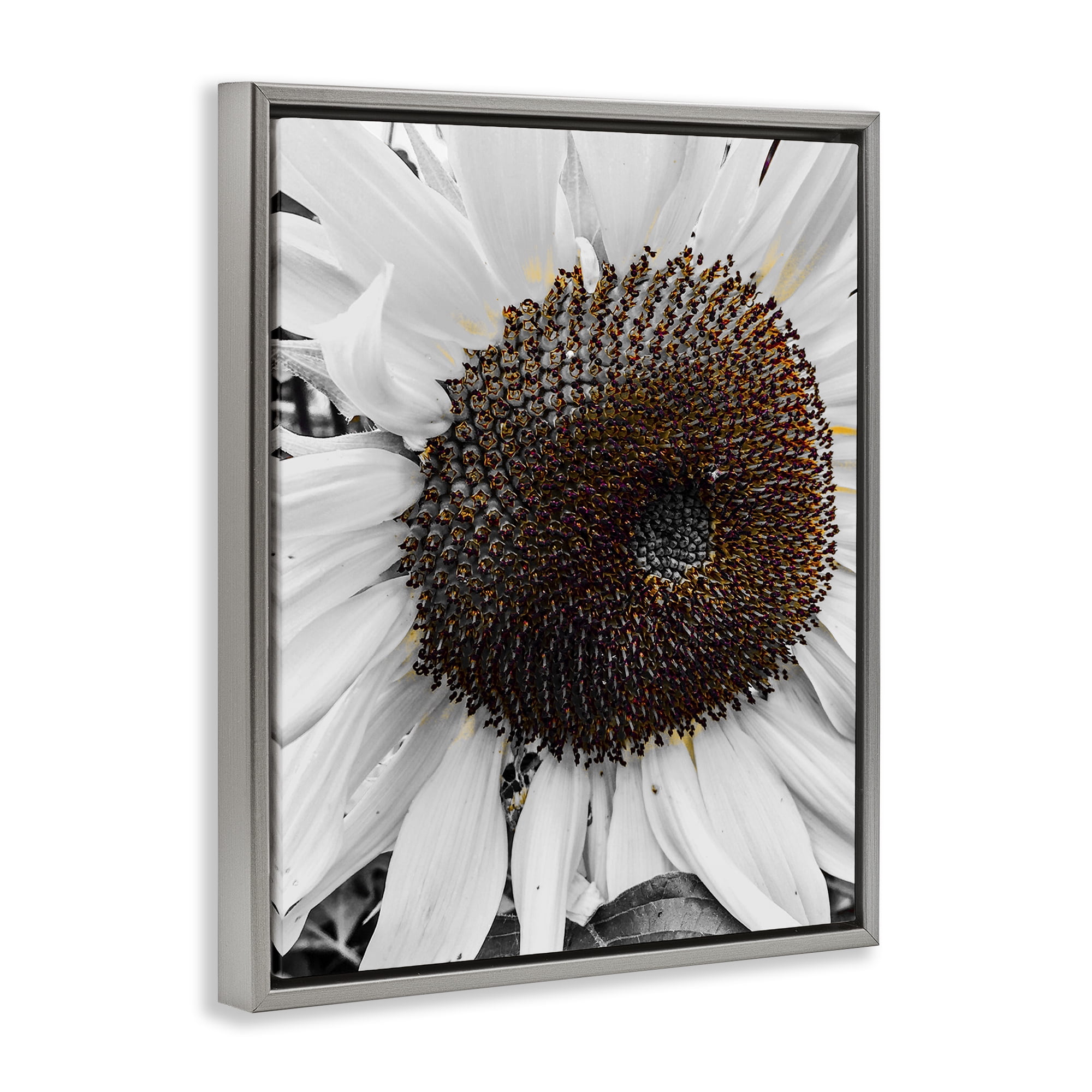 Stupell Industries Flower Pure White Petals Plants & Flowers Photography Gray Floater Framed Canvas Art Print Wall Art, 17 x 21