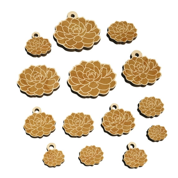 Echeveria Elegans Succulent Plant Mexican Snow Ball Wood Mini Charms Shapes DIY Craft Jewelry - No Hole - Various Sizes (16pcs)