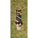 thumbnail image 3 of PATINETA QUEST BOARDS QT-NSC44C NEGRO/BAMBÚ QUEST URBANO, 3 of 4