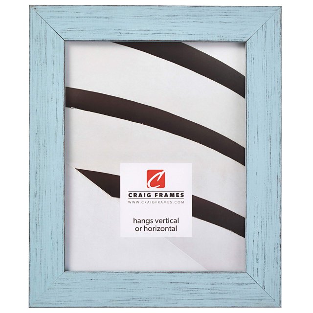 Craig Frames Jasper Picture Frame, 16 x 20 Inch, Country Sky Blue