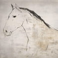 thumbnail image 3 of Lily K 12x12 Black Modern Framed Museum Art Print Titled - Horse I, 3 of 5