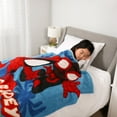 thumbnail image 3 of Marvel Spidey & Friends Curly Fur Throw, 50" x 60", 3 of 6