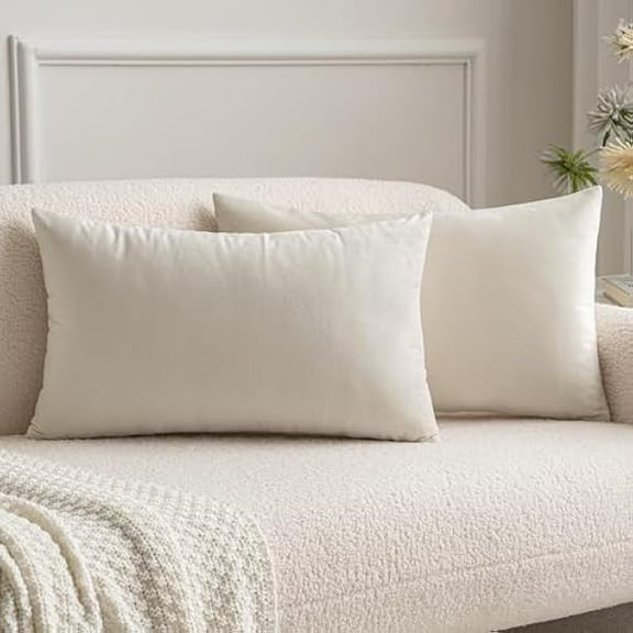 Eryueer Christmas Velvet Soft Decorative Square Throw Pillow Case Cushion Covers Pillowcases for Livingroom Sofa Bedroom with Invisible Zipper 16"x24" 40x60 cm 2 Pieces Cream White