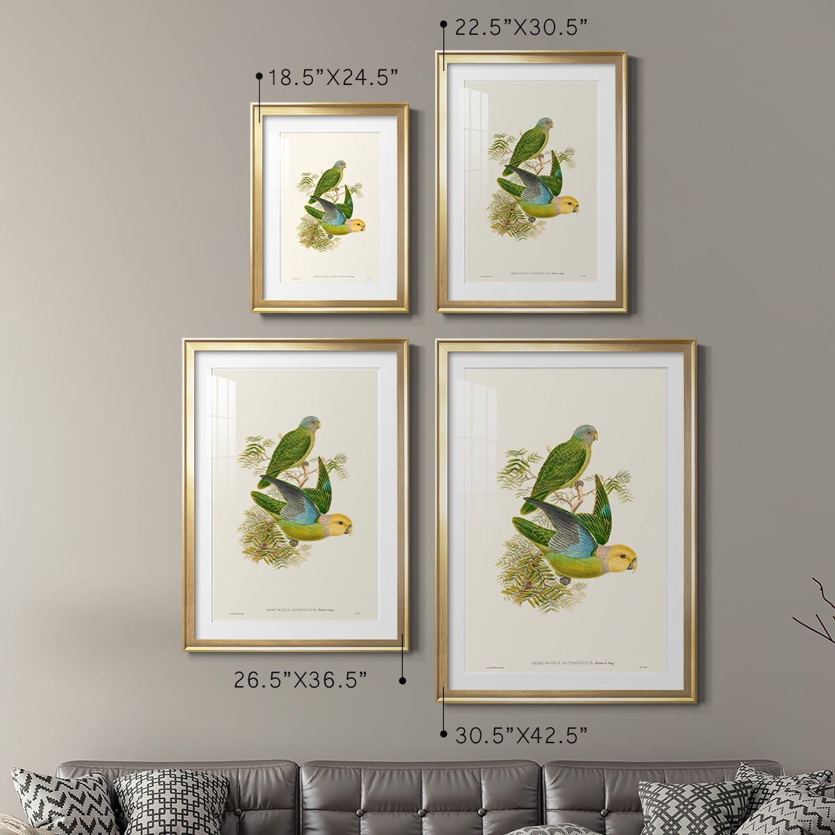 Wexford Home Lime & Cerulean Parrots I Premium Framed Print, 18.5" x 24.5" - Ready to Hang, Gold (Set of 2)