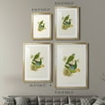 thumbnail image 4 of Wexford Home Lime & Cerulean Parrots I Premium Framed Print, 22.5" x 30.5" - Ready to Hang, Gold (Set of 2), 4 of 9