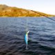 thumbnail image 5 of Kit de Señuelos de Pesca con Lentejuelas, Mini Cebo Artificial Reutilizable con Anzuelo, Accesorio de Pesca, 5 of 10