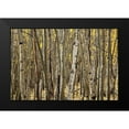thumbnail image 2 of Malvin, Larry 14x11 Black Modern Framed Museum Art Print Titled - Aspen Grove I, 2 of 5