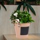 thumbnail image 1 of IFANLANDOR Maceta Metálica Rosa Estilo Retro Para Plantas Ideal Para Jardín Y Hogar, 1 of 8
