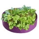 thumbnail image 1 of Bolsas de cultivo de plantas, macetas redondas para camas de jardín elevadas, contenedor de plantación de tela transpirable duradera para patatas, verduras y frutas, jardinería y exteriores Vhermosa CPB-US-DYP01-11, 1 of 5