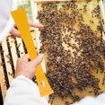 thumbnail image 3 of FUTUREORYY 2 Pcs Outils de Ruche en Acier Accessoires de Ruche Fournitures d'Apiculture, 3 of 8
