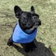 thumbnail image 1 of Bufanda de Refrigeración para Perros Colco Collar Transpirable Reutilizable Suministros Punto Redondo, 1 of 6
