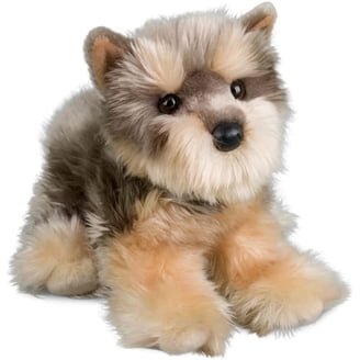 Douglas