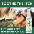 Vet Organics Hot Spot YPF5 Spray for Dogs and Cats EcoSpot 4 Oz