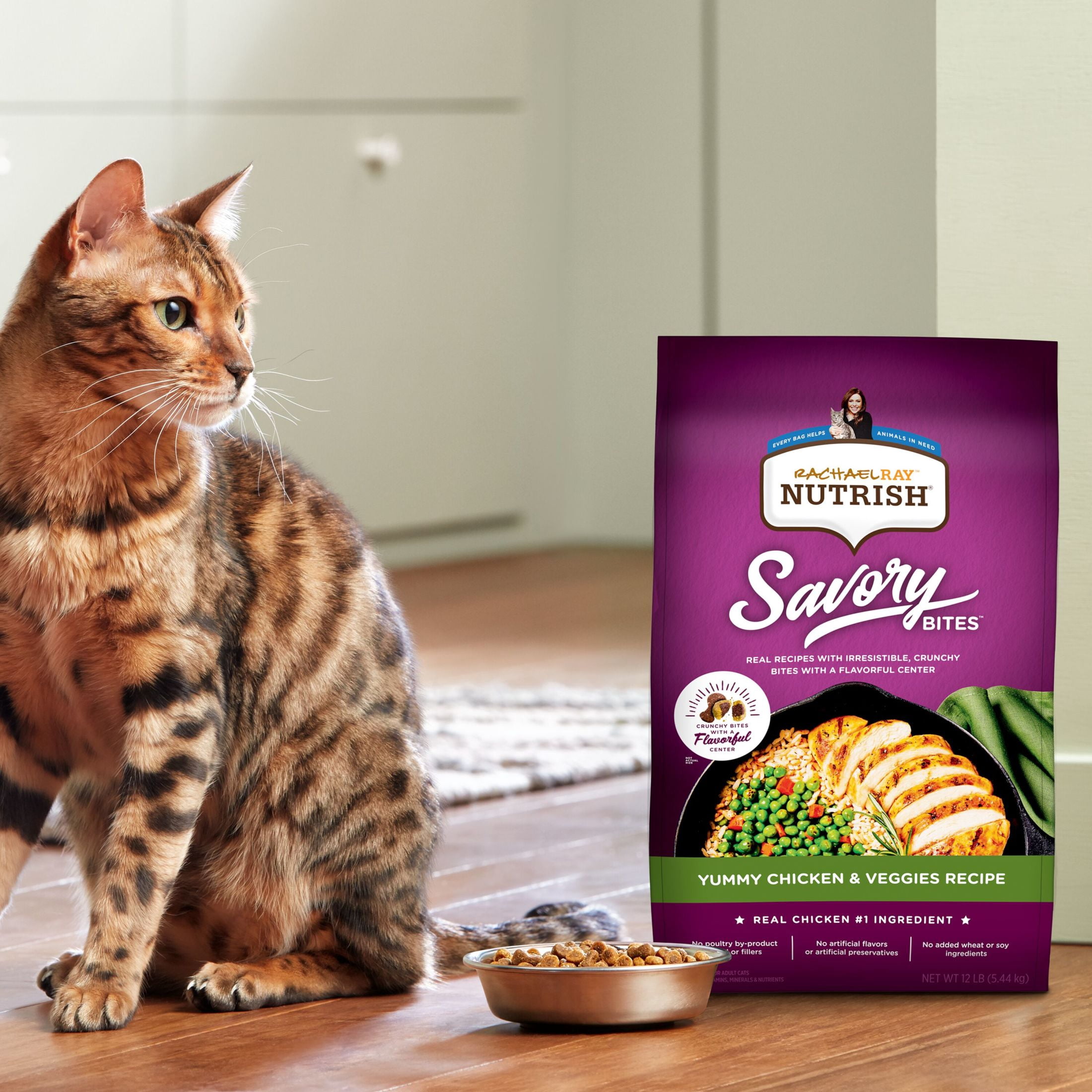 Rachael Ray Nutrish Savory Bites Yummy Chicken & Veggies Recipe Dry Cat Food, 12 lb. Bag