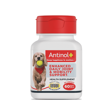 Antinol Plus, Mobility, Hip, and Joint Supplement for Dogs, Green-Lipped Mussels and Krill Oil - Dog Joint Supplement, 60 Soft Gels