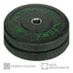 thumbnail image 3 of Disco Bumper Para Pesas Altera  PARBUMP Olímpicos De 25Lb Altera, 3 of 5