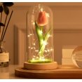 thumbnail image 3 of Preserved flower tulip Christmas gift, 3 of 3
